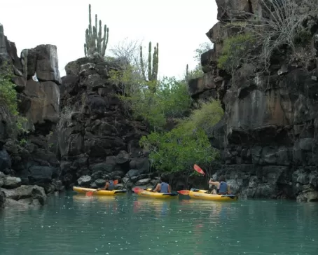 Kayaking in the Galapagos