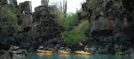 Kayaking in the Galapagos