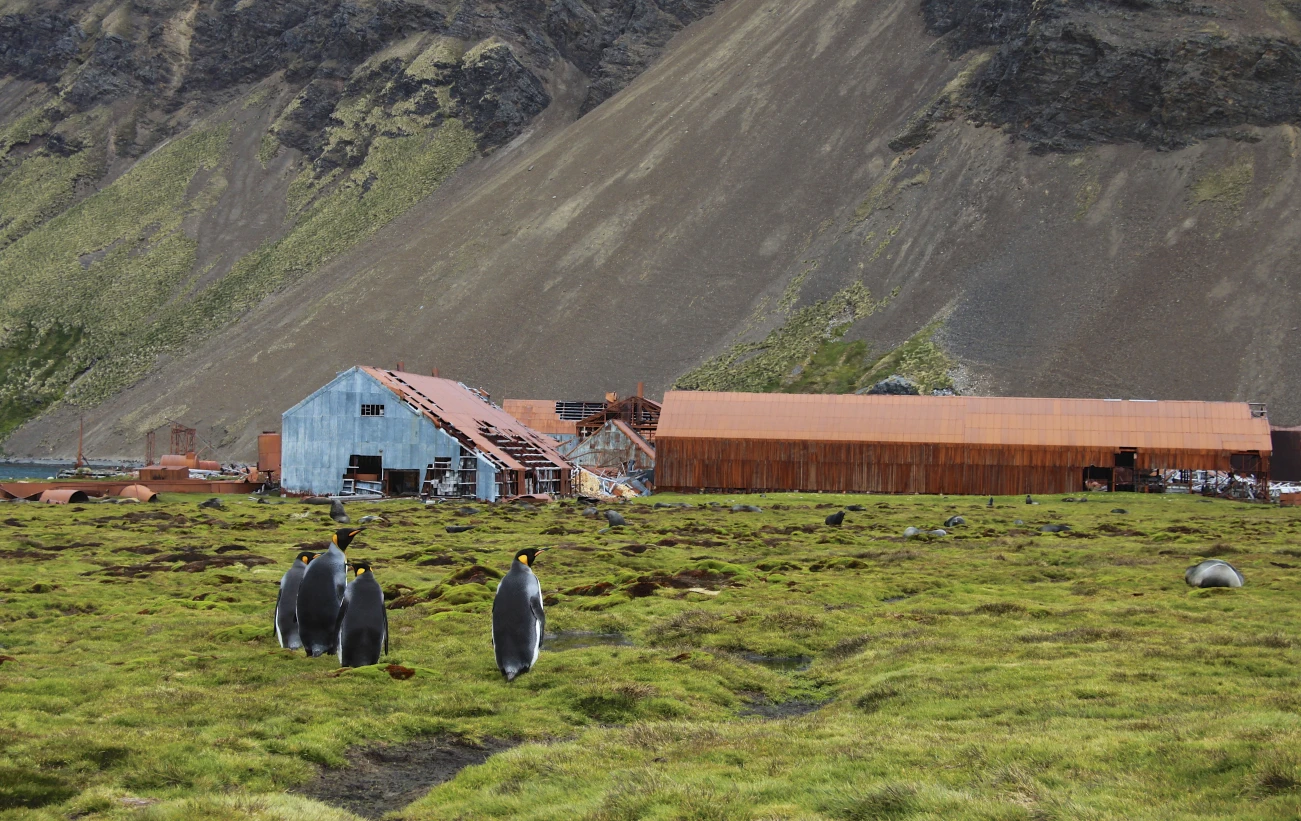In touch with nature in Stromness