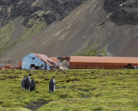 In touch with nature in Stromness