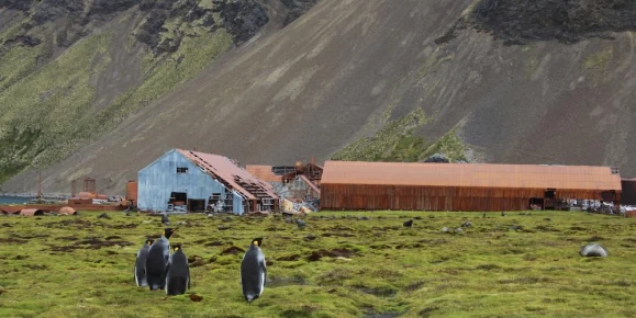 In touch with nature in Stromness