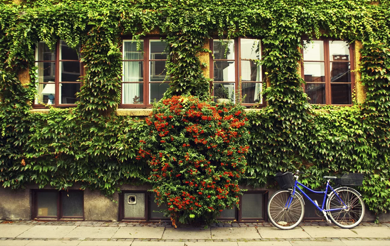 Bicycles are a part of everyday life in Europe