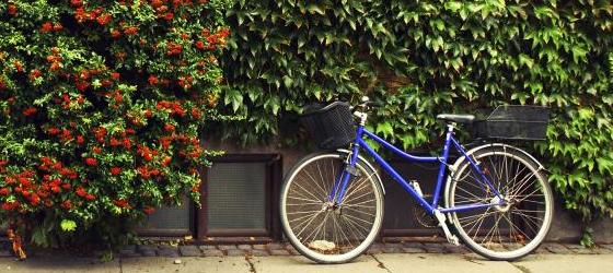 Bicycles are a part of everyday life in Europe
