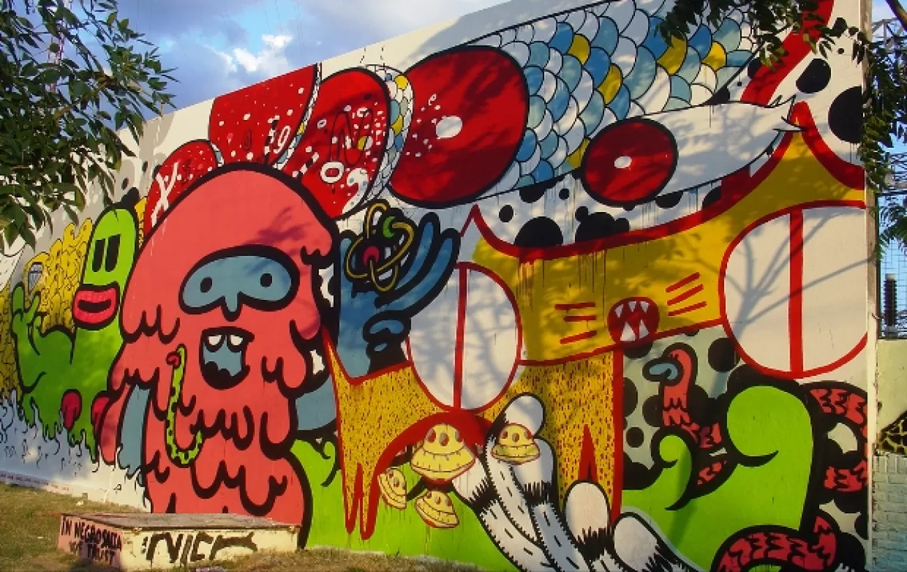 Gezond eten Verlichting Verfijning Half-day Buenos Aires Graffiti Tour, street art tour