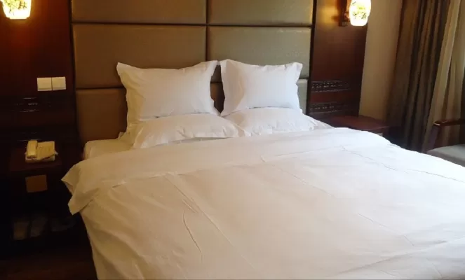Comfortable Accommodations in a Business Room