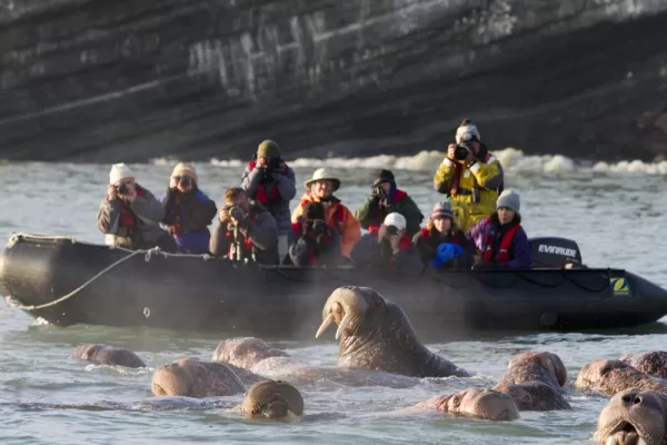 Observing wildlife during a zodiac ride along the Kamchatka coast