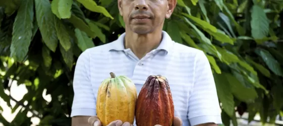 Chocolate farmer holding cocoa pods