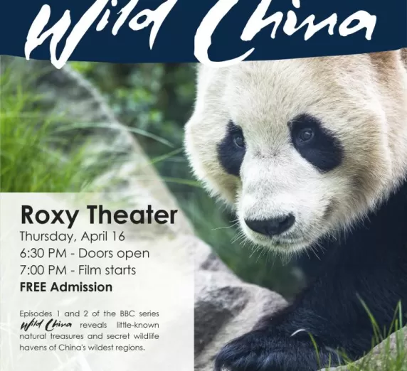 Wild China Event Poster