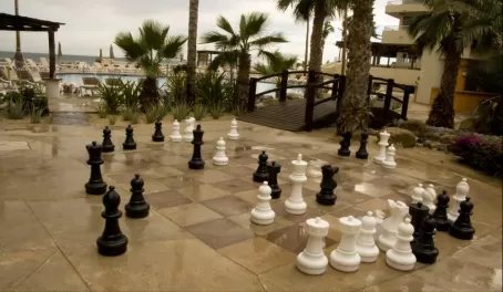 Giant chess board