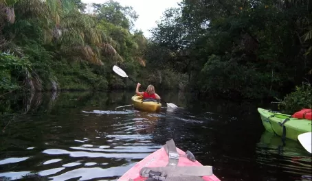 Kayaking through the Costa Rican rainforest