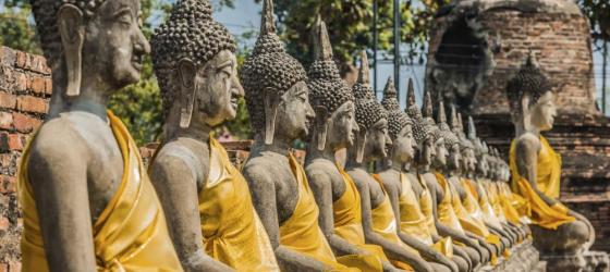 Buddha statues Wat Yai Chaimongkol, Ayutthaya