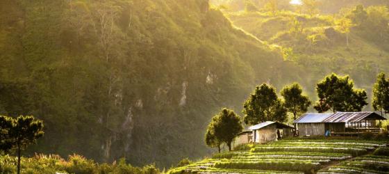 Farmland of the Thai hill tribes
