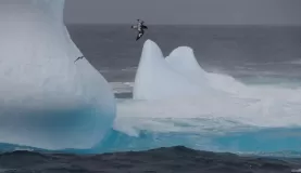 First Iceberg
