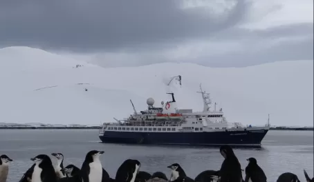 Sea Adventurer with penguins