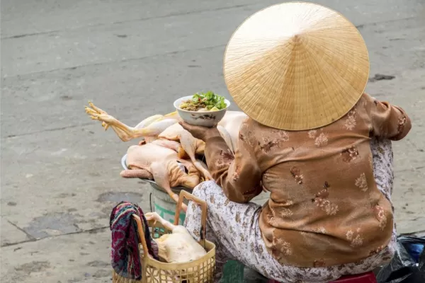 Vendor at a Vietnamese market