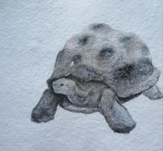 Acrylics, colored pencil