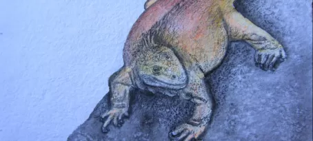 acrylics and colored pencil, land iguana