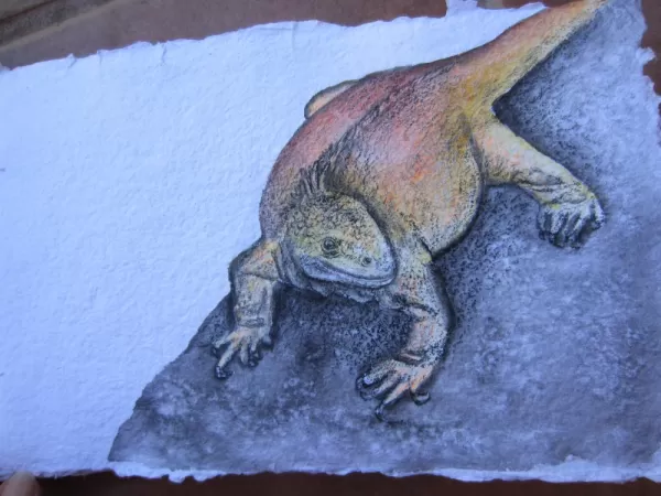acrylics and colored pencil, land iguana
