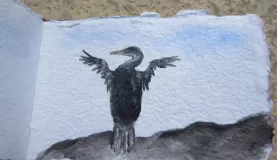 acrylics, flightless cormorant, single page