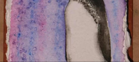 Acrylics, penguin