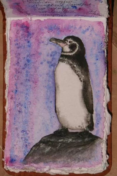 Acrylics, penguin