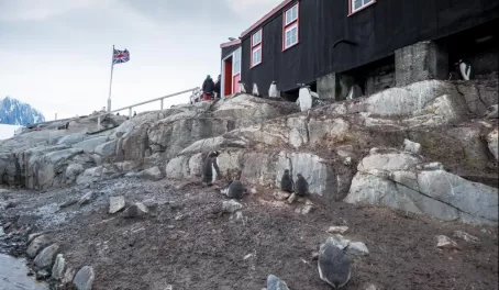 THe Only Post Office in Antarctica: Port Lockroy