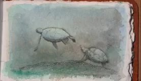 Sea turtles, acrylics and colored pencil