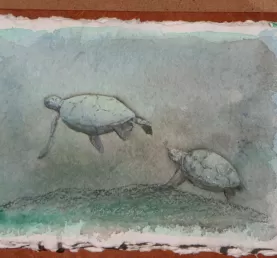 Sea turtles, acrylics and colored pencil