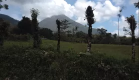 First look at Arenal