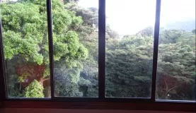 View of the cloudforest