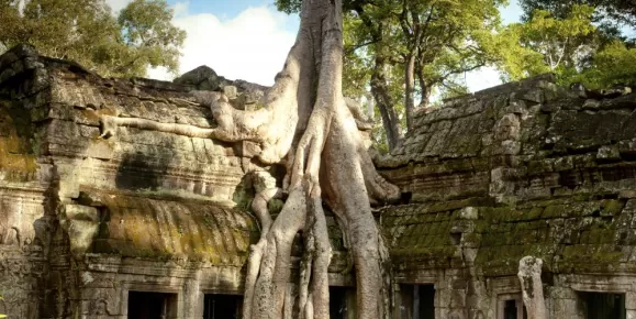 Ta Prohm in Angkor Wat