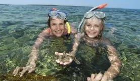 Snorkeling in Belize
