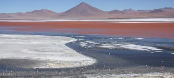 Laguna Colorada