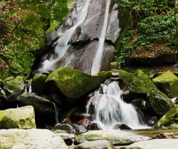 Poring Hot Springs makes a nice half-way stop on the drive to Kinabalu National Park