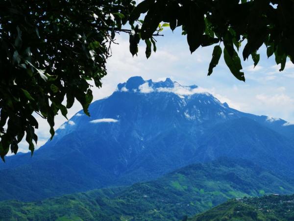 Mount Kinabalu spans six vegetation zones from lowland rainforest to alpine scrub