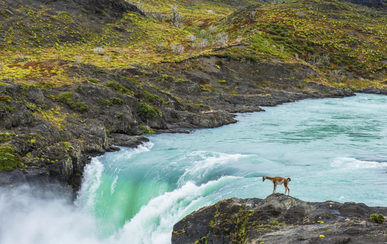 Paine River and Salto Grande waterfall