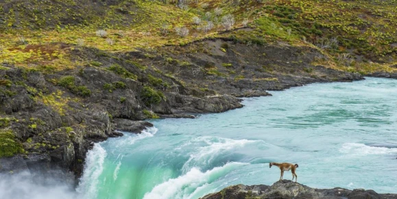 Paine River and Salto Grande waterfall