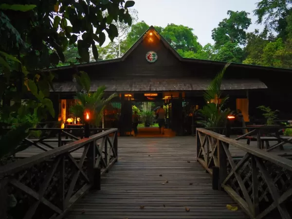 The Sukau Rainforest Lodge is the perfect place to get to know Sabah's widlife