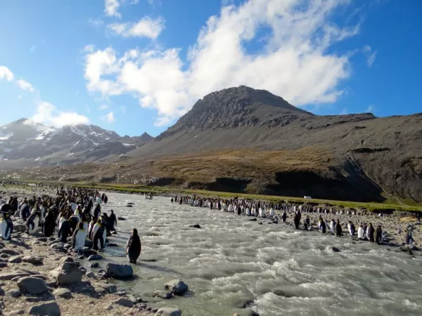 St Andrew, South Georgia