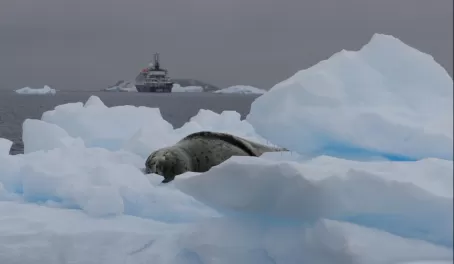 Lounging on ice