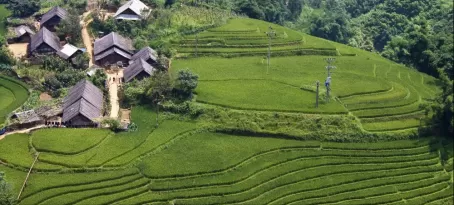 Village on a rice terrace