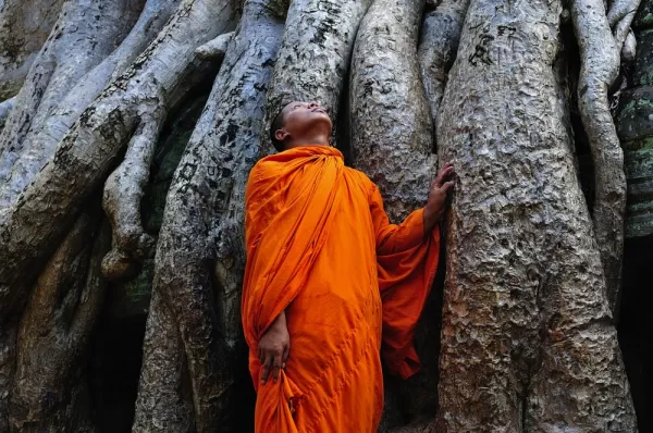 Monk at Ta Prohm temple, Angkor