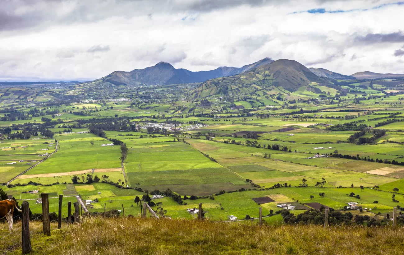 Cultivated fields surrounded by the Andes Mountains