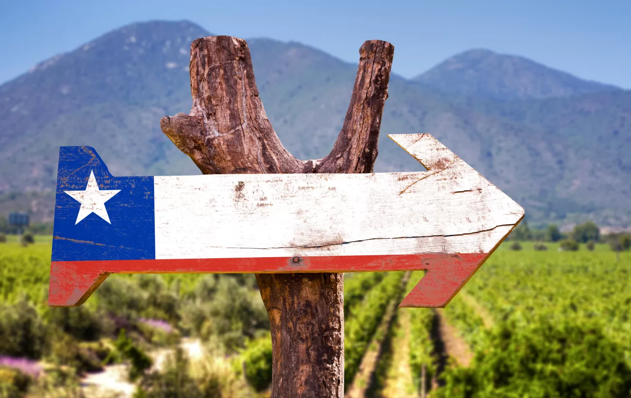 Vineyards of Chile