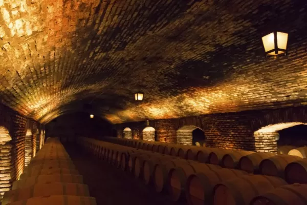 Tour local wine cellars