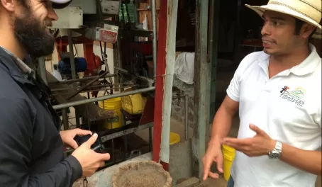Our guide describes the coffee washing process