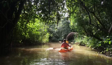 Matt kayaking through the jungle vines