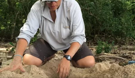 Natalia digs to rescue any turtle eggs that hatched
