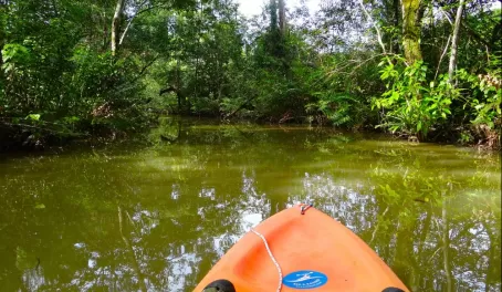 view from my kayak