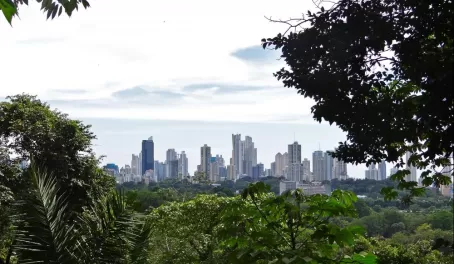 View from Metropolitan National Park in Panama City